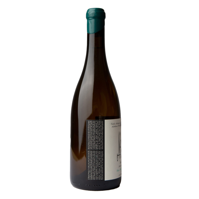 NOSSA CALCÁRIO BICAL 2019 | FILIPA PATO | Garrafeira Genuína - Genuinamente apaixonados pelo Vinho
