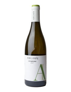 ADEGA MÃE ALVARINHO 2017 - LISBOA