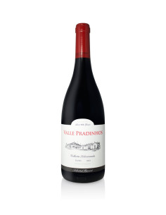 TERRA MONTANA EDIÇAO LIMITADA TINTO 2020 750 ML |  | Garrafeira Genuína - Genuinamente apaixonados pelo Vinho