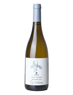 Início | Garrafeira Genuína - Genuinamente apaixonados pelo Vinho