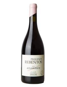 PEQUENOS REBENTOS ATLÂNTICO EDIÇÃO ESPECIAL 2019