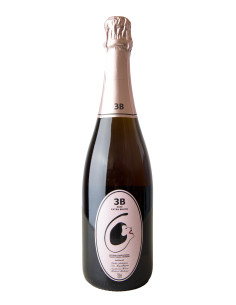 PEQUENOS REBENTOS ANCESTRAL LOUREIRO PÉT NAT 2023 750 ML | MÁRCIO LOPES - WINEMAKER | Garrafeira Genuína - Genuinamente apaixonados pelo Vinho