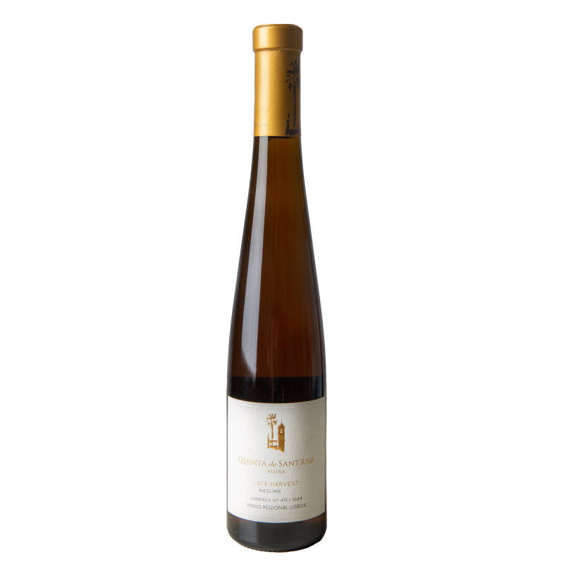 QUINTA DE SANT'ANA LATE HARVEST RIESLING 2019 | Quinta Do Sant'Ana | Garrafeira Genuína - Genuinamente apaixonados pelo Vinho