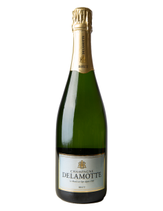 SOALHEIRO BRUTO NATURE PUR TERROIR ALVARINHO 2020 750 ML |  | Garrafeira Genuína - Genuinamente apaixonados pelo Vinho