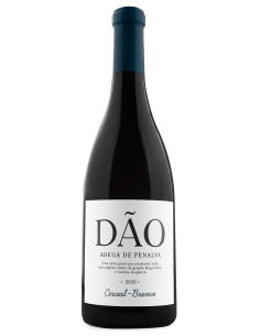 QUINTA DOM VICENTE BRANCO RESERVA 2021 750 ML |  | Garrafeira Genuína - Genuinamente apaixonados pelo Vinho