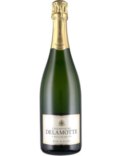 CHAMPAGNE | Garrafeira Genuína - Genuinamente apaixonados pelo Vinho