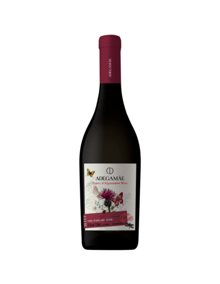 ADEGA MÃE BIO TINTO 2022 750 ML | Adega Mãe | Garrafeira Genuína - Genuinamente apaixonados pelo Vinho