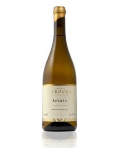 LISBOA | Garrafeira Genuína - Genuinamente apaixonados pelo Vinho