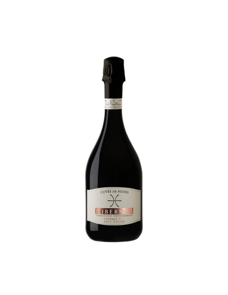 HIBERNUS CUVÉE DE NOIRS MILLÉSIME BRUT NATURE 2020 750 ML | JOSÉ CARVALHEIRA WINES CREATOR | Garrafeira Genuína - Genuinamente apaixonados pelo Vinho