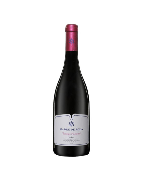 MADRE DE ÁGUA TOURIGA NACIONAL 2016 750 ML | MADRE D'AGUA | Garrafeira Genuína - Genuinamente apaixonados pelo Vinho