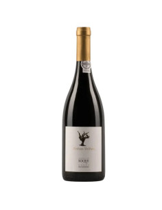 DOURO | Garrafeira Genuína - Genuinamente apaixonados pelo Vinho