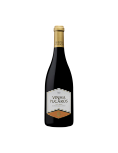 DÃO | Garrafeira Genuína - Genuinamente apaixonados pelo Vinho