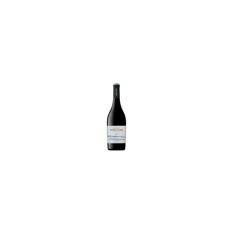 ADEGA MÃE PINOT NOIR 2021 750 ML | Adega Mãe | Garrafeira Genuína - Genuinamente apaixonados pelo Vinho