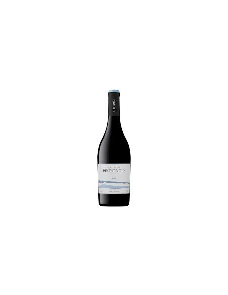ADEGA MÃE PINOT NOIR 2021 750 ML | Adega Mãe | Garrafeira Genuína - Genuinamente apaixonados pelo Vinho