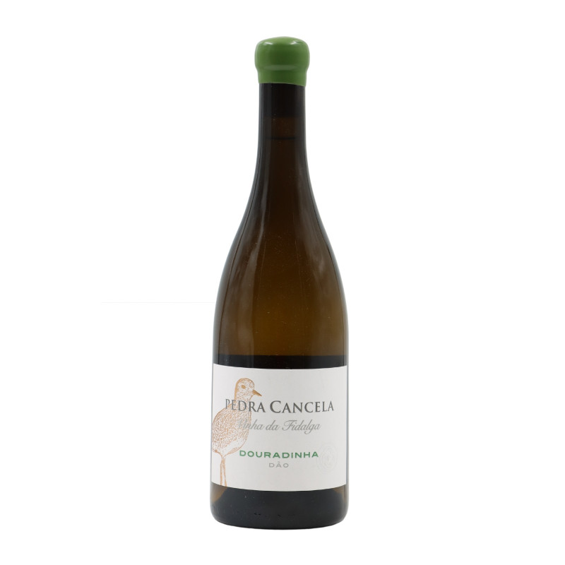 PEDRA CANCELA DOURADINHA 2022 750 ML |  | Garrafeira Genuína - Genuinamente apaixonados pelo Vinho