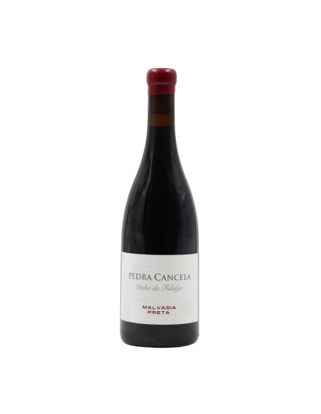 PEDRA CANCELA VINHA DA FIDALGA MALVASIA PRETA 2022 750 ML |  | Garrafeira Genuína - Genuinamente apaixonados pelo Vinho