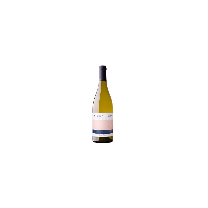 VICENTINO BRANCO VINHAS COSTA ATLANTICA 2022 750 ML | Vicentino | Garrafeira Genuína - Genuinamente apaixonados pelo Vinho