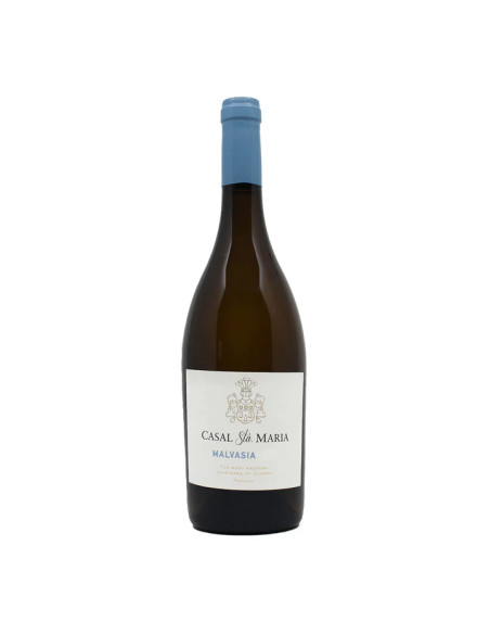 CASAL STA. MARIA MALVASIA 2024 750 ML | Casal Sta. Maria | Garrafeira Genuína - Genuinamente apaixonados pelo Vinho