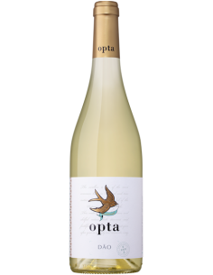 QUINTA DOM VICENTE BRANCO RESERVA 2021 750 ML |  | Garrafeira Genuína - Genuinamente apaixonados pelo Vinho