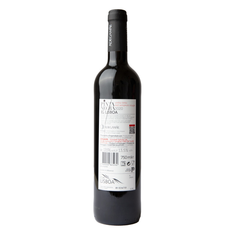 PINTA NEGRA TINTO 2020 750 ML | Adega Mãe | Garrafeira Genuína - Genuinamente apaixonados pelo Vinho