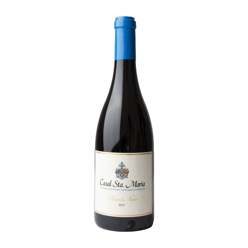 CASAL STA. MARIA PINOT NOIR 2013 750 ML | Casal Sta. Maria | Garrafeira Genuína - Genuinamente apaixonados pelo Vinho
