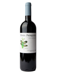 Início | Garrafeira Genuína - Genuinamente apaixonados pelo Vinho