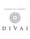 DIVAI